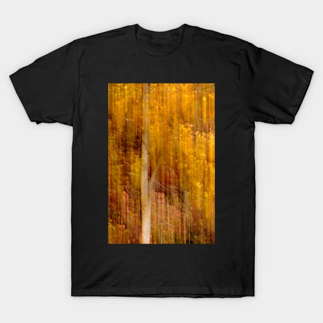 Autumn abstract T-Shirt by LaurieMinor